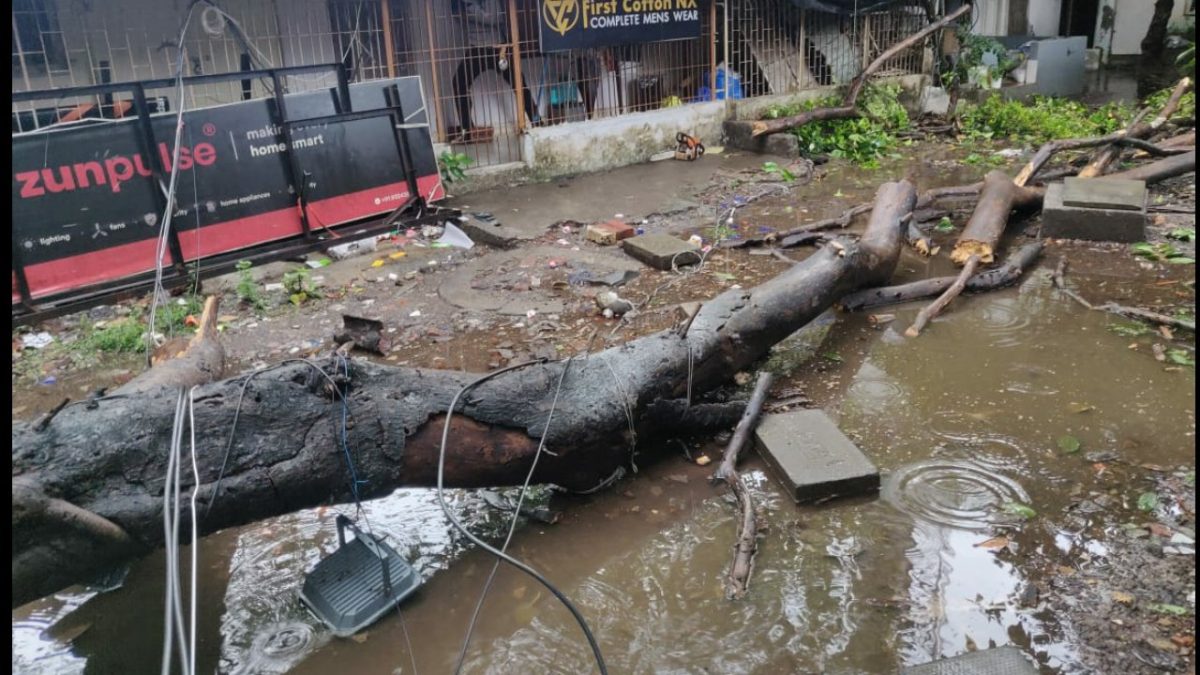 Mumbai BMC,