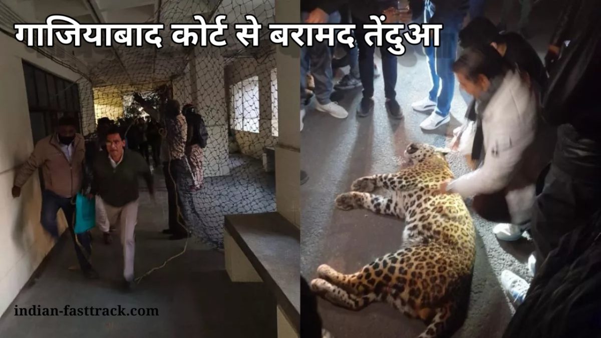 फिल्म सिटी,