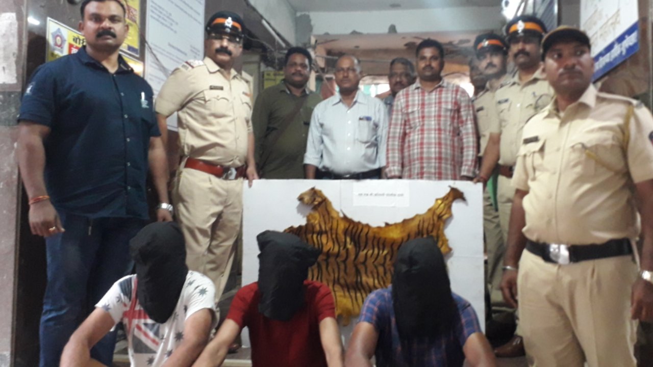बाघ की खाल और पंजे की तस्करी, मुंबई पुलिस ने किया तीन को गिरफ्तार