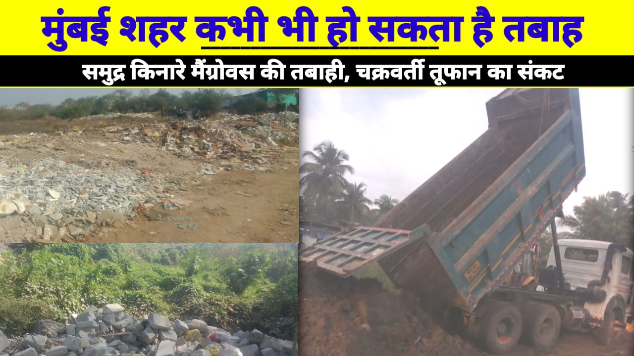 सरकारी जमीन पर पड़े गिद्धों की नजर समुद्र किनारे मैंग्रोवस को कर रहे हैं खत्म