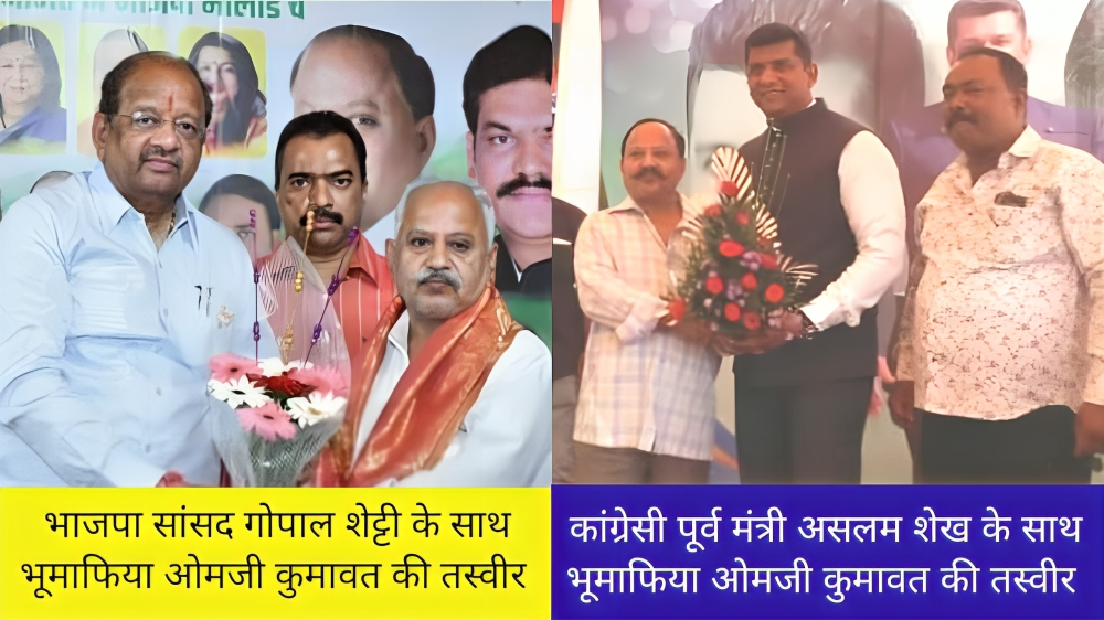 मैंग्रोवस, 