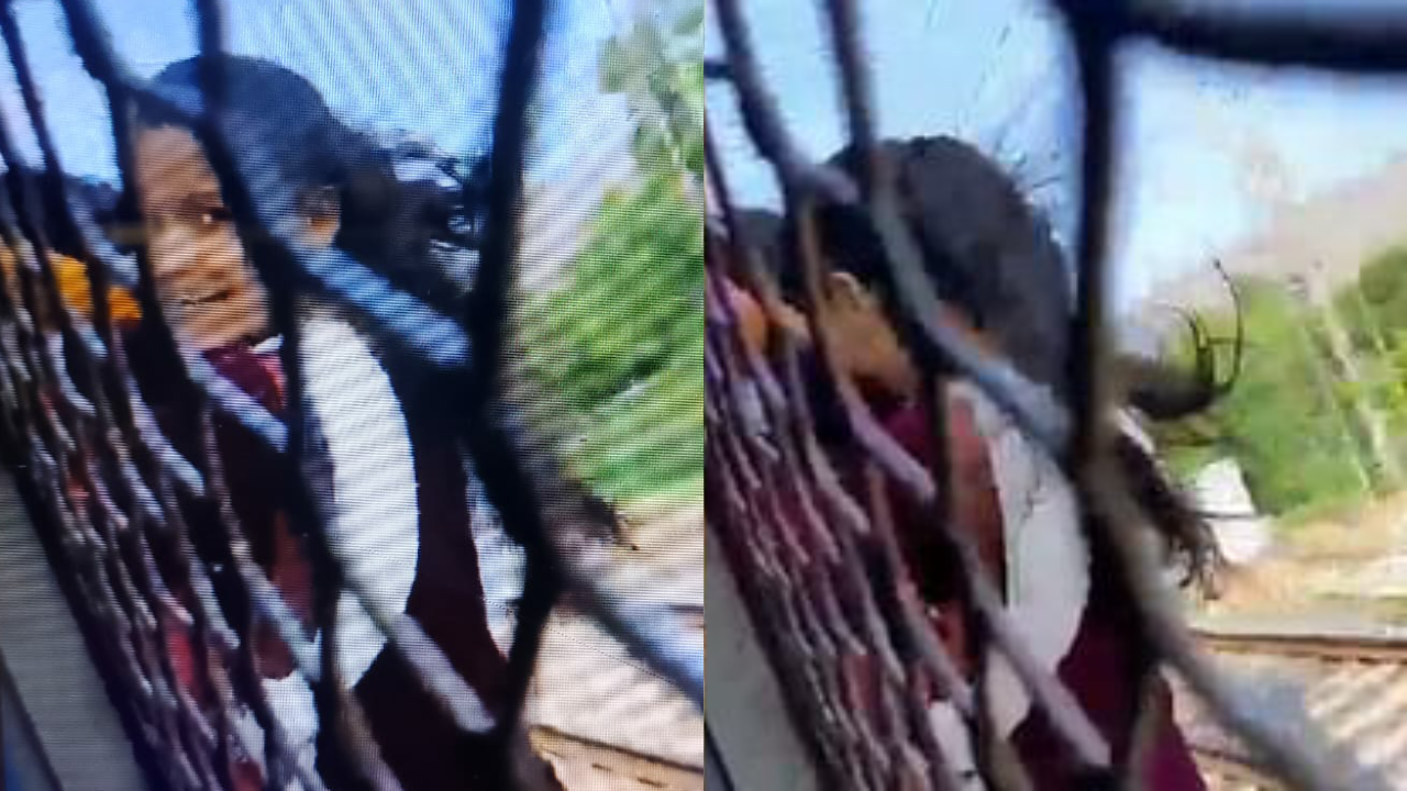 Viral Video: मुंबई में भीड़ की मार, महिला ट्रेन में लटकने पर मजबूर, लोगों ने लगाई खूब लताड़