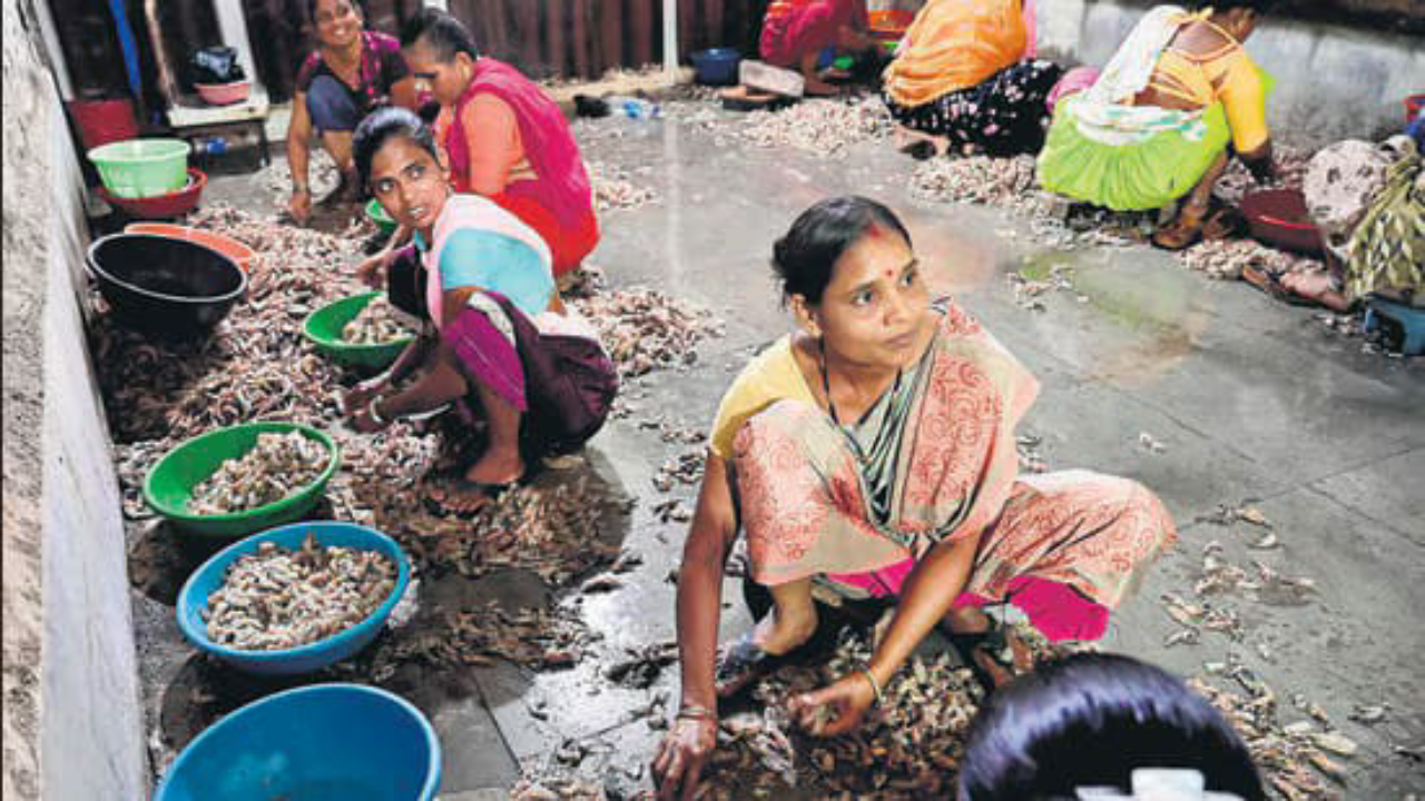 अमेरिकी टैक्स से मुंबई सीफूड इंडस्ट्री पर बड़ा संकट
