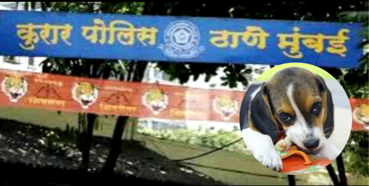 मालाड में दिल दहला देने वाली दरिंदगी, 2.5 महीने के पिल्ले से क्रूरता; आरोपी गिरफ्तार
