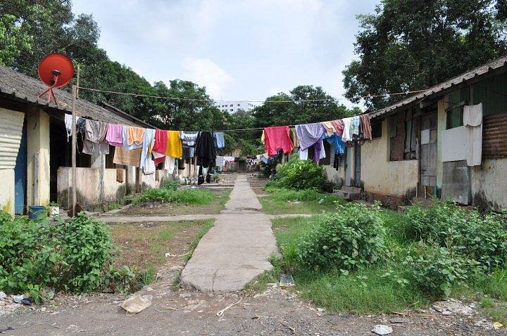Sanjay-Gandhi-National-Park-Encroachers-Notice-2026-Last-date-for-submission-of-documents-is-February-28-news-1