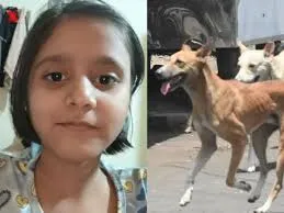 Malad Rabies Case: ‘सिर्फ खरोंच’ समझी गलती बनी जानलेवा, 9 साल की बच्ची की मौत