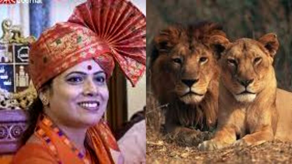 Will-Mumbai-Zoo-roar-again-Mayor-letter-Gujarat-demanding-pair-Asiatic-lions-news