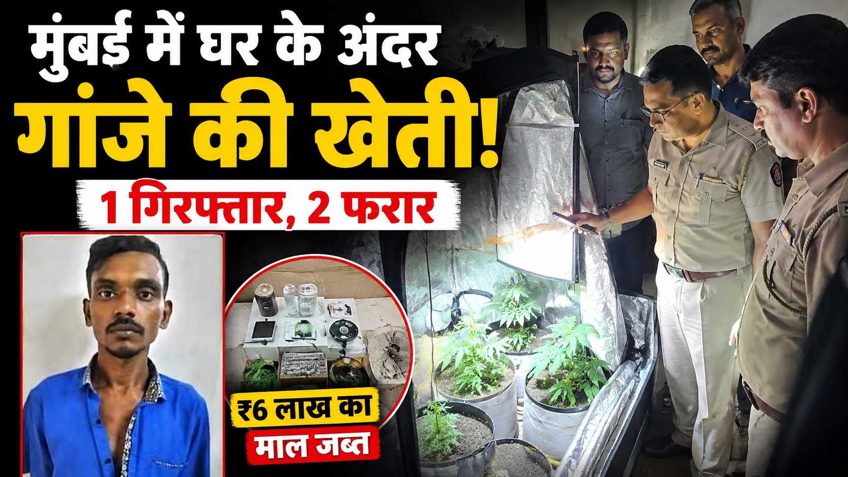 mumbai-dahisar-hydroponic-ganja-cultivation-babbu-kamat-arrested