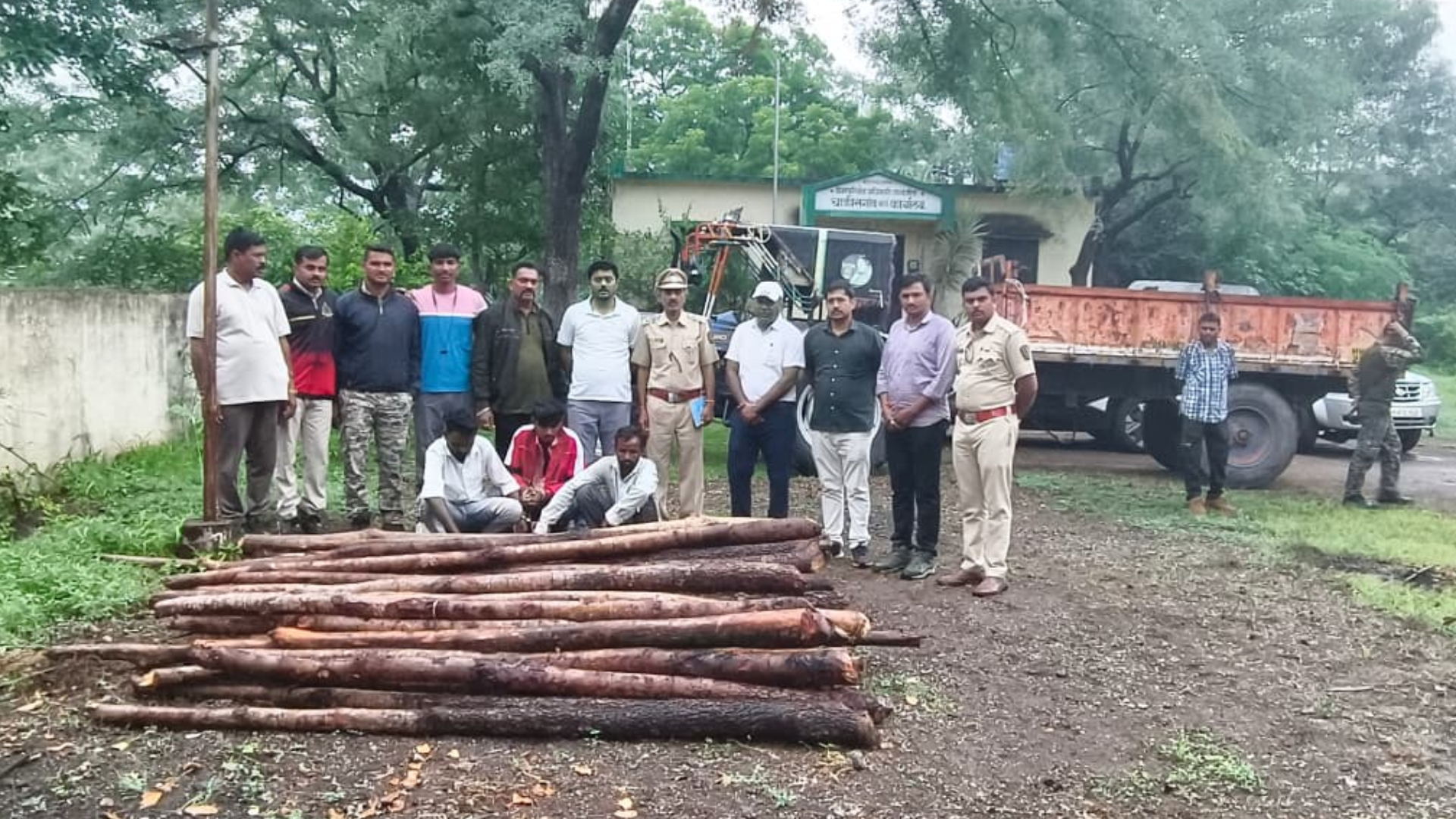 crime-corruption-control-association-illegal-tree-cutting