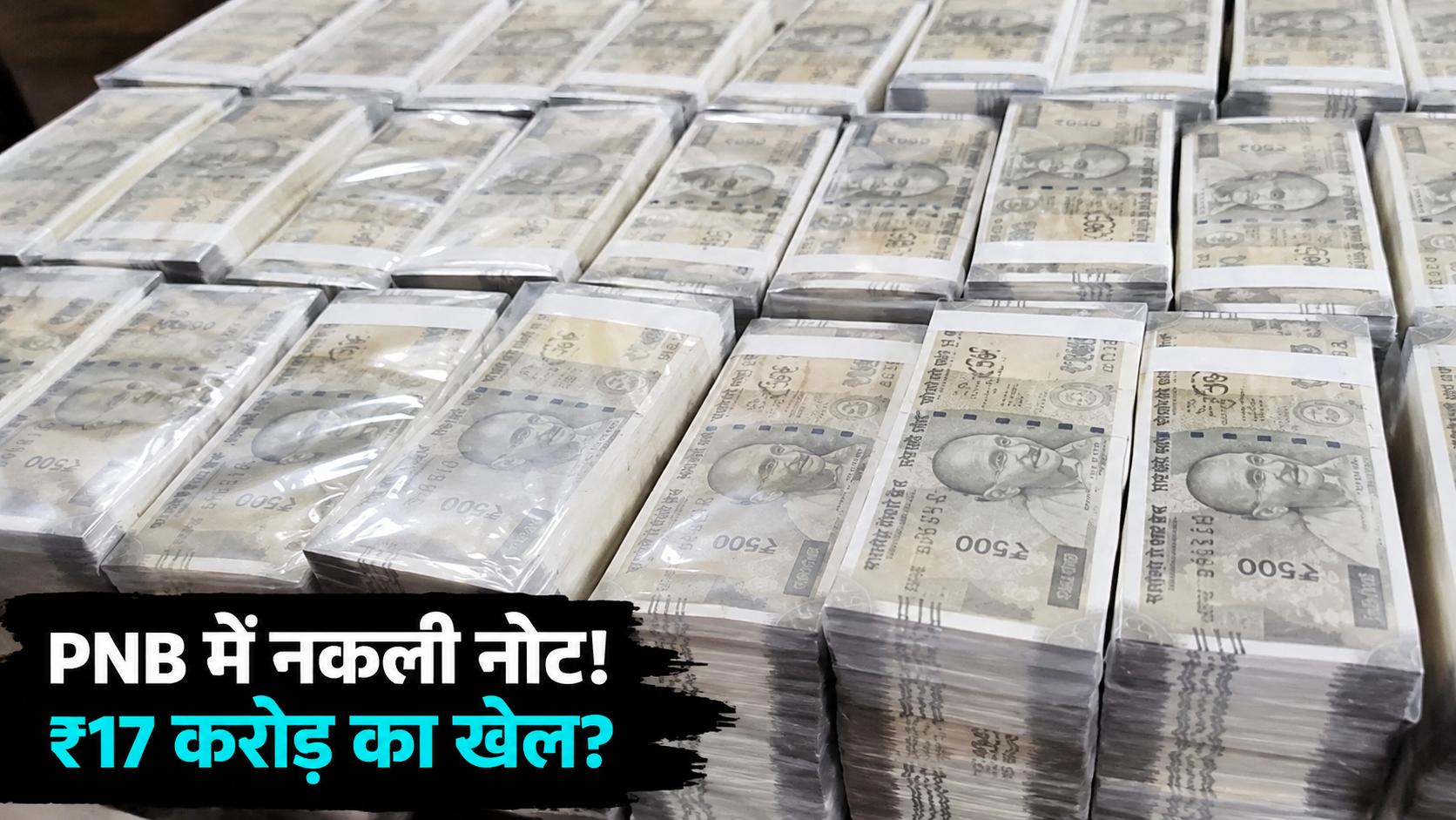 pnb-fake-notes-customer-impact